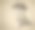 一个戴着帽子的成年男子的肖像，脸上有一种难以置信的表情图片下载