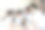 一对父母陪着他们的两个儿子和女儿在客厅的地毯上玩积木——照片图片下载