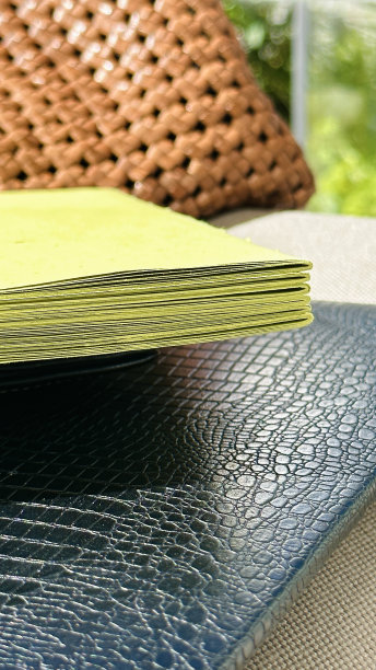 夏天躺在户外笔记本上的绿色日记图片下载