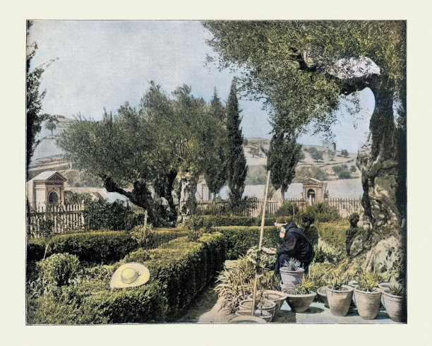 古董照片，彩色，客西马尼花园，巴勒斯坦，和尚园艺19世纪图片下载