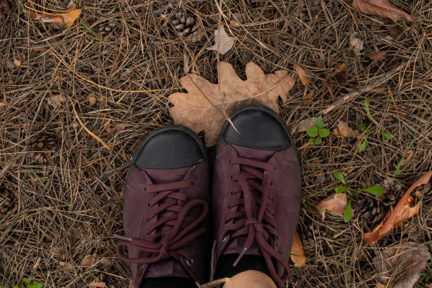 背景是森林，圣诞树上的针和女性运动鞋的俯视图图片下载