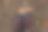背景是森林，圣诞树上的针和女性运动鞋的俯视图图片下载