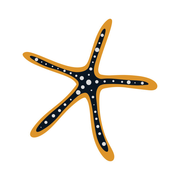 海星在白底的插图。矢量插图卡通平面风格图片下载