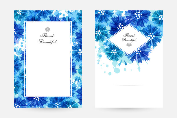 蓝色矢车菊的浪漫背景图片下载