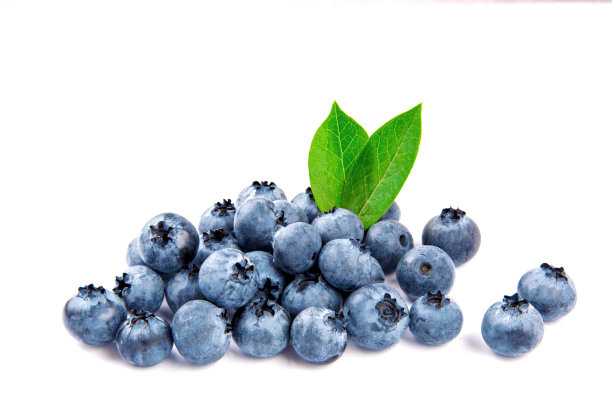蓝莓，叶子孤立在白色背景上。图片下载