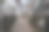 现代粮食清洗分离设备图片下载