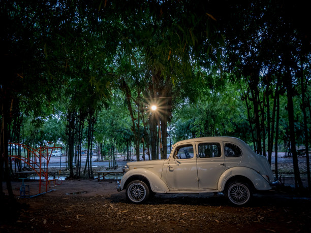 一辆旧汽车停在花园里图片下载