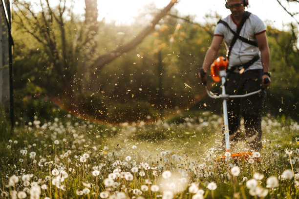 阳光明媚的日子，一个年轻人在自家后院用农具割草图片下载
