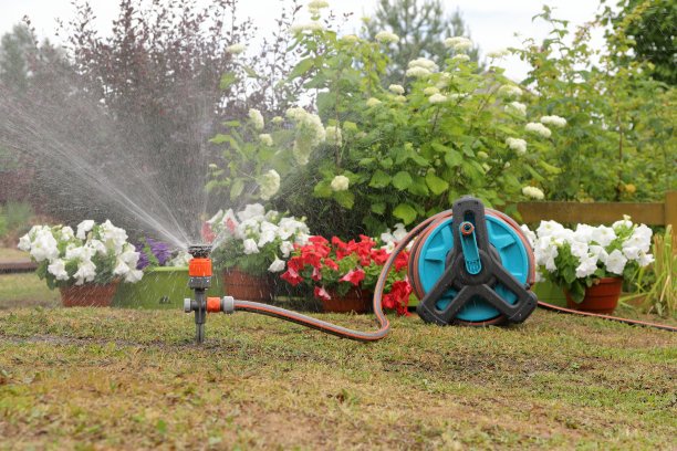 用花园软管给植物和花朵浇水。图片下载
