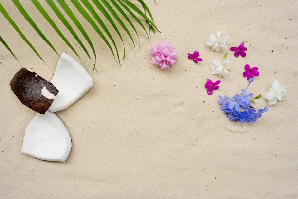 椰子和棕榈叶沙滩背景为您的暑假背景设计。图片下载