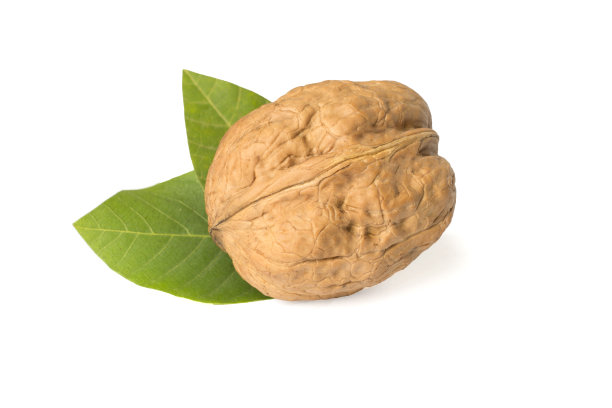 在白色上分离叶子的胡桃图片下载