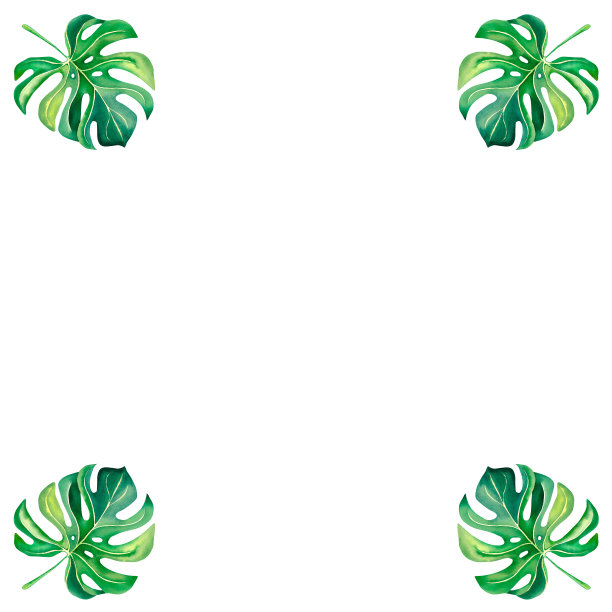 用怪物树叶做成的框架。热带性质。热带地区。雨林。水彩插图。装饰。图片下载