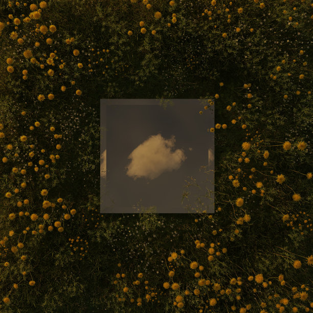 三维渲染的矩形镜面反射单白色的云和包围的黄色蒲公英。平铺自然风格概念图片下载