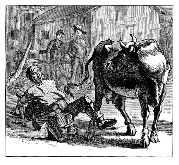 牛撞倒农夫图片下载