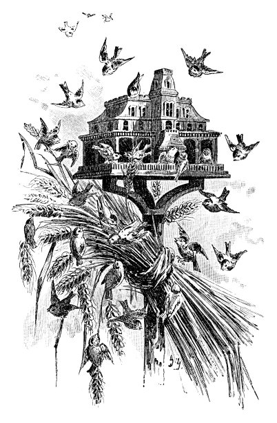 繁忙的禽舍图片下载