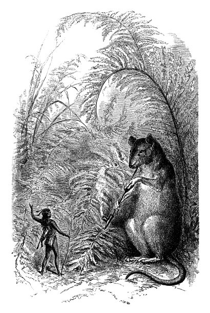 猎人和大老鼠图片下载