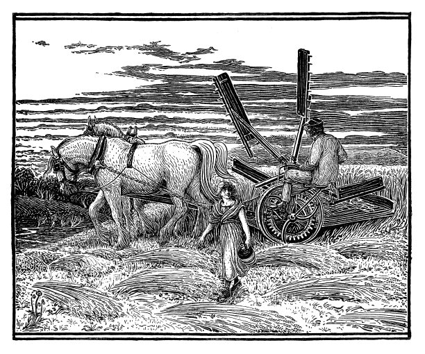 收割小麦图片下载