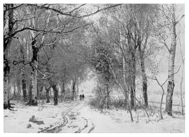 冬天走了图片下载