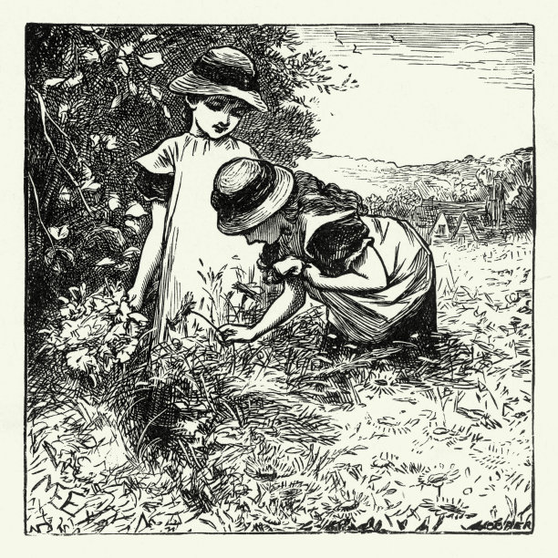 年轻女孩在草地上采摘鲜花，美国维多利亚版画，1882年图片下载