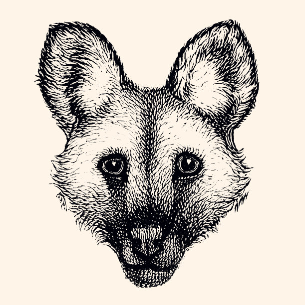 野狗(XXXL)图片下载