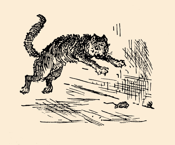 必胜(xxxl)图片下载