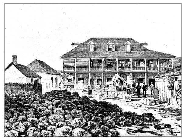 古董科学雕刻插图:巴哈马海绵渔民图片下载