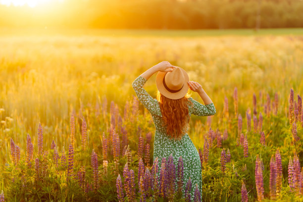 美丽的女人穿着时髦的衣服在盛开的芬芳薰衣草田。图片下载