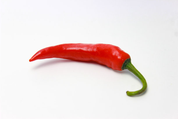 一个红辣椒。新鲜的红色鸟眼辣椒，孤立在白色背景图片下载