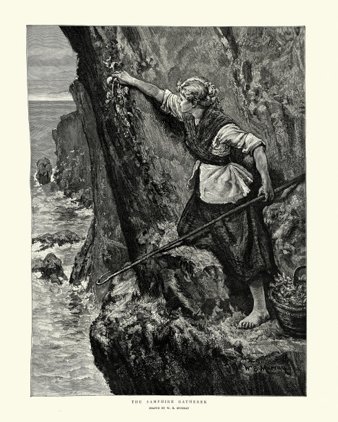 19世纪维多利亚时期，一名女子在岩石海岸采集海篷布图片下载