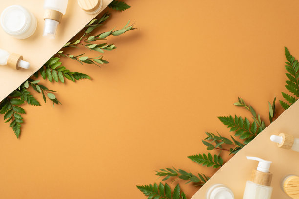 有机化妆品概念。由桉树和蕨类树枝，化妆品罐，瓶子和管子在分割米色和棕色孤立的背景与copyspace的空白空间的俯视图照片图片下载