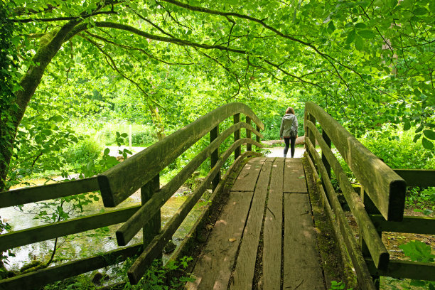 从贝特曼之家过桥。图片下载