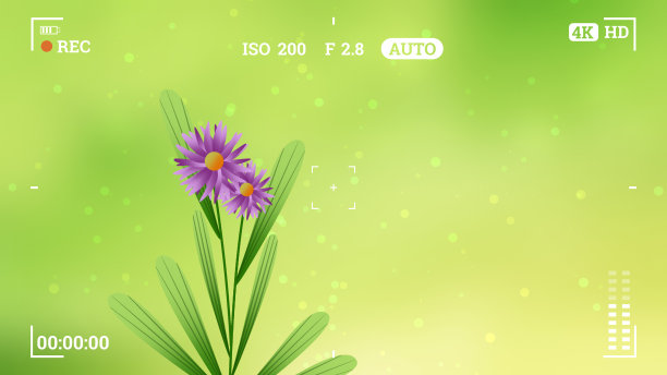 捕捉花的镜头在相机动画图像图片下载