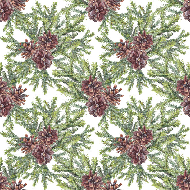 无缝图案水彩绿色圣诞树枝与松果在白色背景。森林艺术卡片。手工绘制杉木新年庆祝邀请和包装或墙纸图片下载