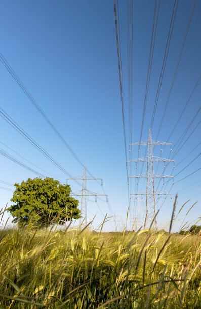 庄稼、树木和电力塔图片下载
