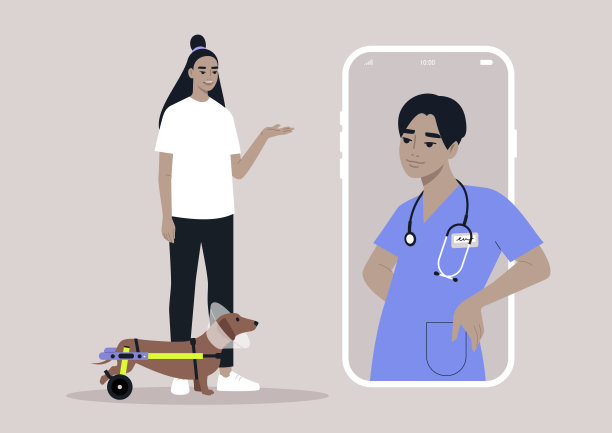 在线兽医咨询，体检，一只行动不便的香肠狗戴着塑料锥形项圈，受伤后正在愈合图片下载