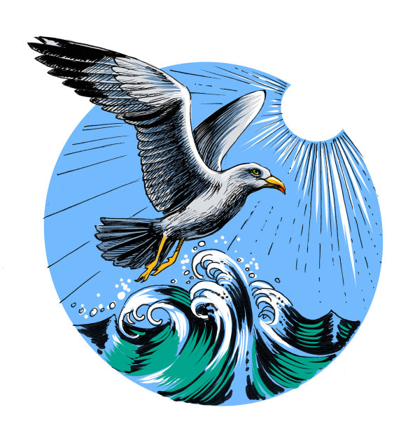 飞翔的海鸥和海浪图片下载