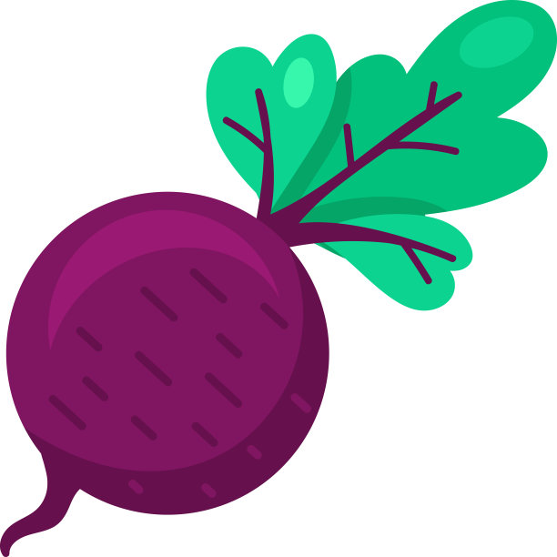 扁平蔬菜有机萝卜图标图片下载