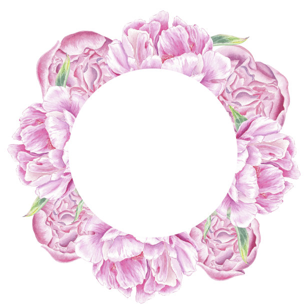 水彩框架，花环粉红色牡丹手绘在植物风格用于演示，婚礼，假期和自然设计邀请。雏菊花装饰卡片，礼品包装，海报图片下载