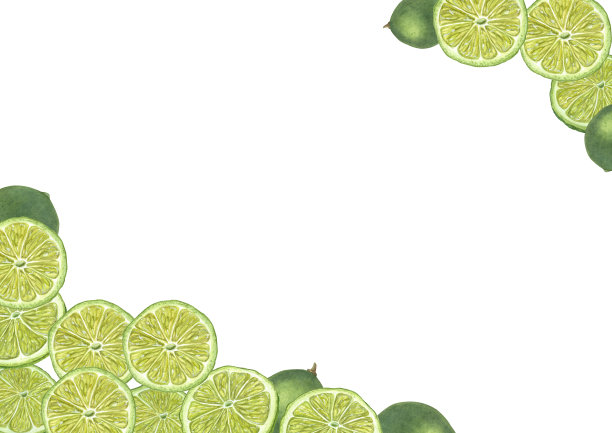 水彩框架的新鲜石灰隔离在白色。整个柑橘和切片。文本空间。植物插图卡片设计，菜单，邀请模板，生日，庆祝卡图片下载