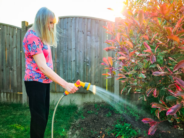 老年妇女在夏天用软管给花园浇水图片下载
