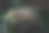 小河流溪流在黑暗的常绿森林清澈的水岩石苔藓蕨类植物特写自然纹理大气景观纯净的自然环境生态图片下载