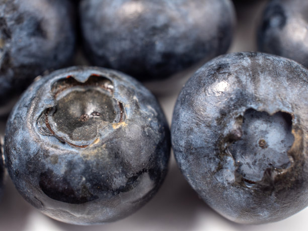 成熟的蓝莓在淡淡的背景下。图片下载