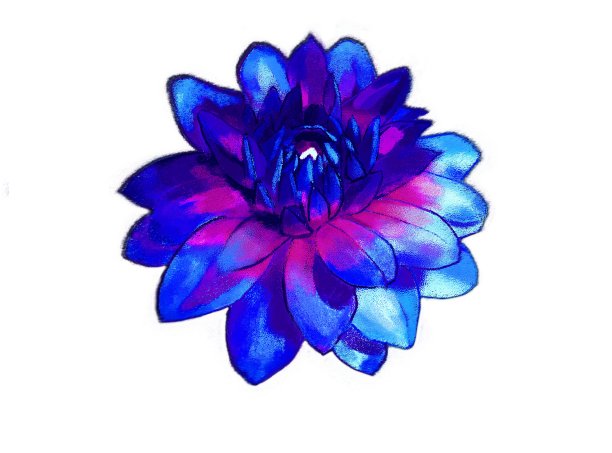 印象派风格的如画花蕾图片下载