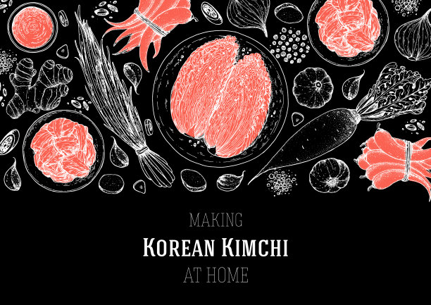 泡菜烹饪及泡菜配料，素描插图。韩国菜。健康食品，设计元素。手绘、包装设计。亚洲食物图片下载
