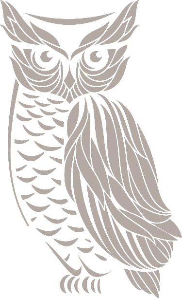 一只手绘的猫头鹰图片下载