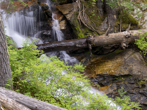 罗斯湖步道北喀斯喀特国家公园在纽瓦勒姆，华盛顿州，美国图片下载