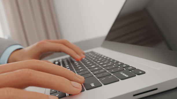 警官在笔记本电脑上打字。图片下载