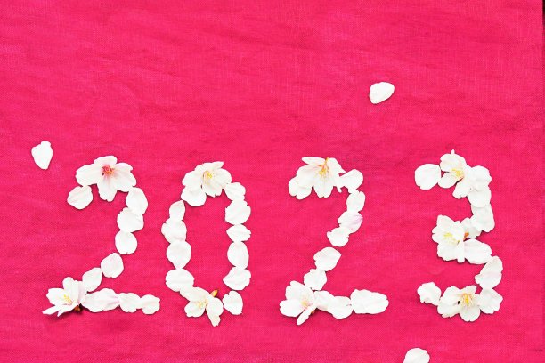 贺岁卡材料与边缘在数字2023顶部制作的吉野樱花在红色的背景图片下载