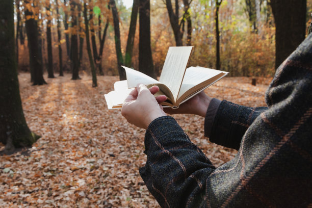 一个人在森林里翻阅打开的书图片下载