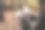 一个人在森林里翻阅打开的书图片下载